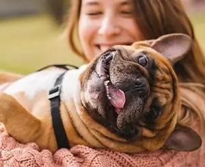 pets for stress and anxiety relief