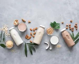 probiotic foods and stress