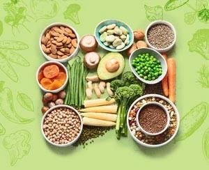 Plant-Based Protein