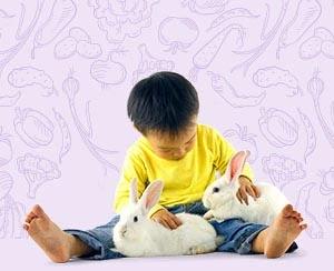 End Animal Cruelty