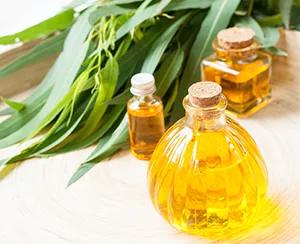Benefits of Essential Oils for Cough