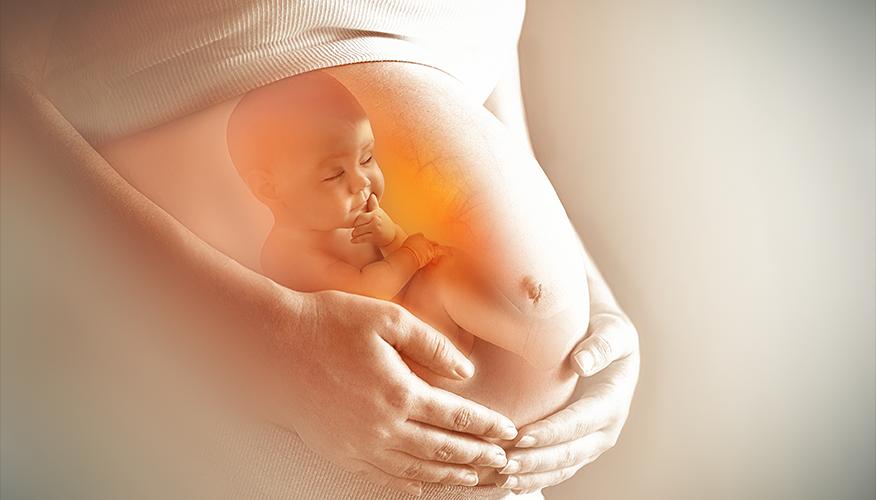 Motherhood-a journey