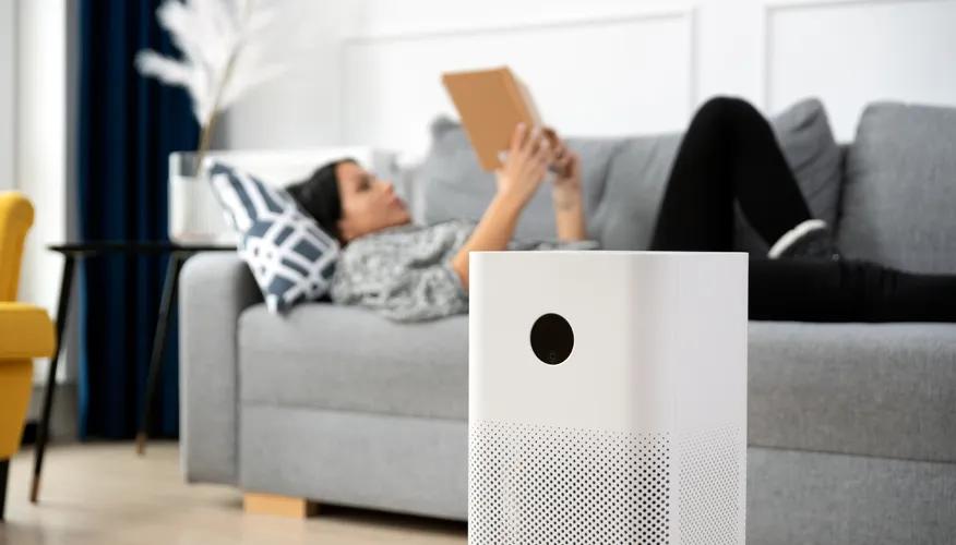 Smog-absorbing air purifier