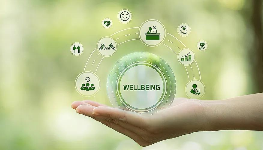 Understanding wellbeing