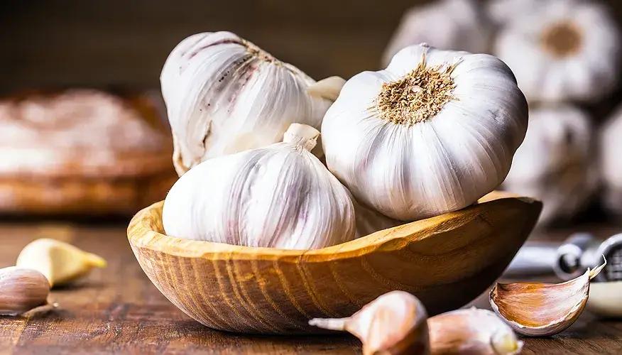 Garlic