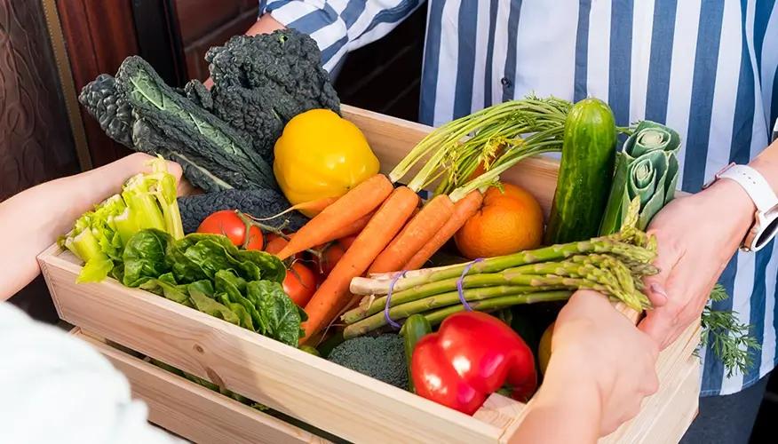 Foods to include in a plant-based diet for liver health