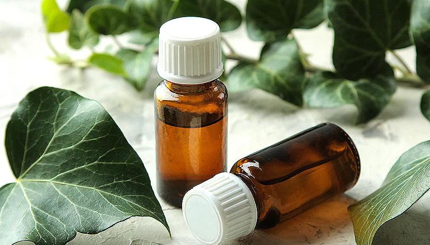 Ivy leaf for cough relief: Practical tips and dosage guidelines