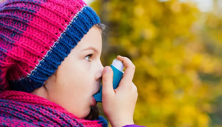 The Triggers Of Childhood Asthma