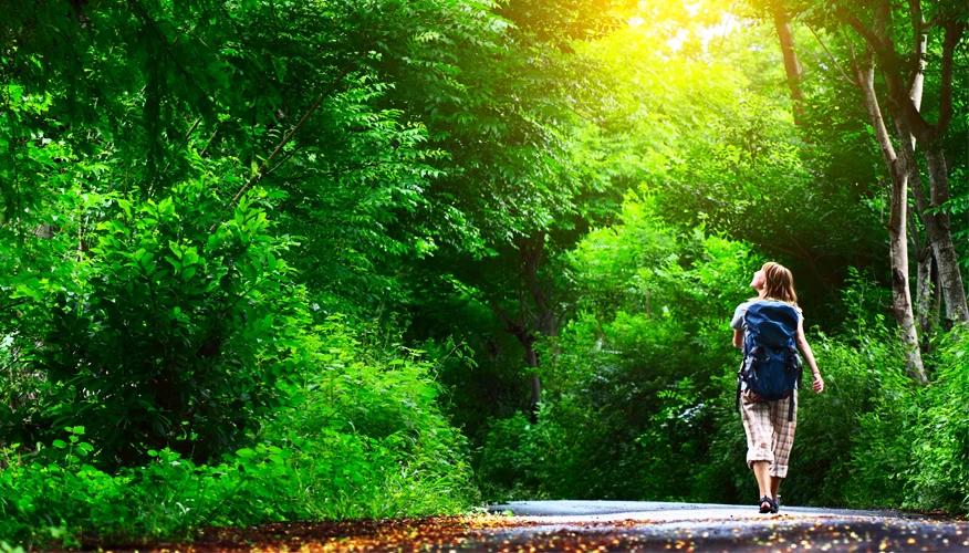 Nature activities and exercises for brain health