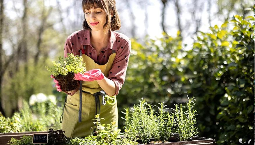 Practical ways to harness nature’s healing power