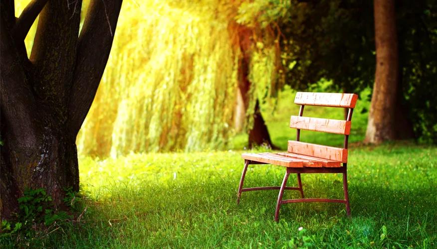 Understanding loneliness