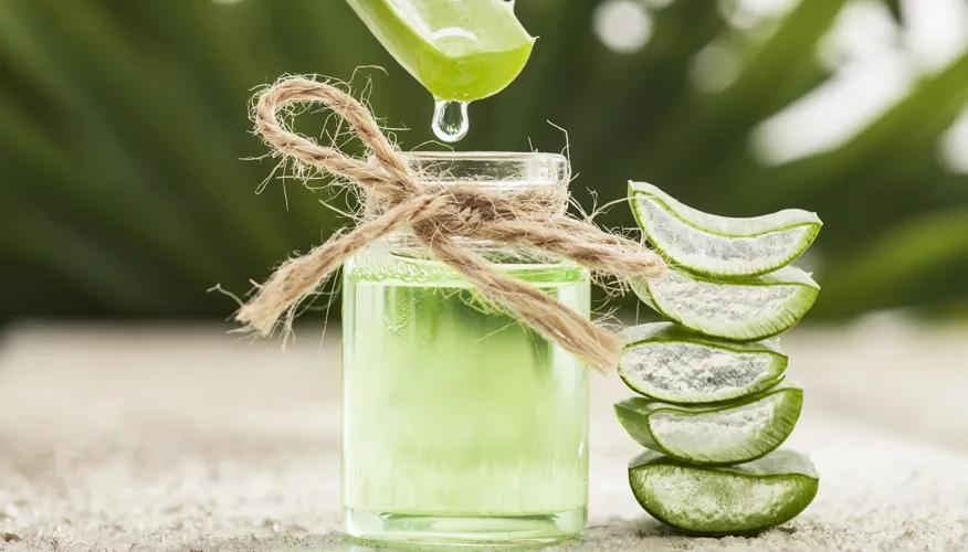 Aloe Vera