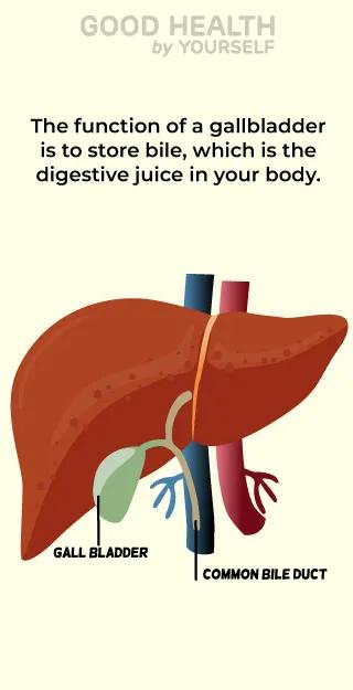 gallbladder