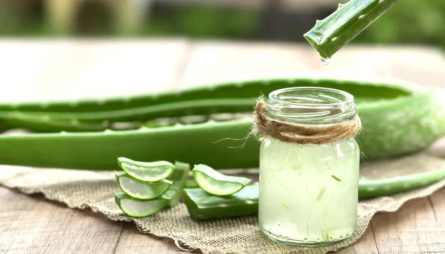Should you apply aloe vera to oily skin?