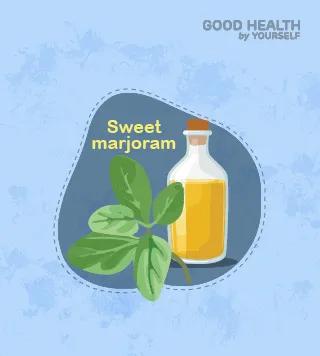 Sweet marjoram