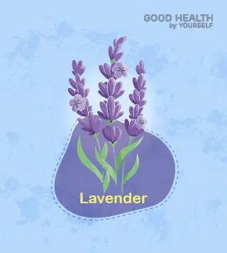 Lavender