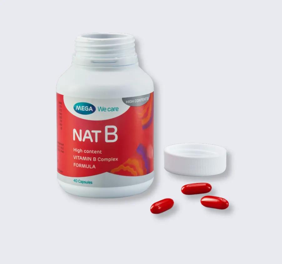 NAT B 3