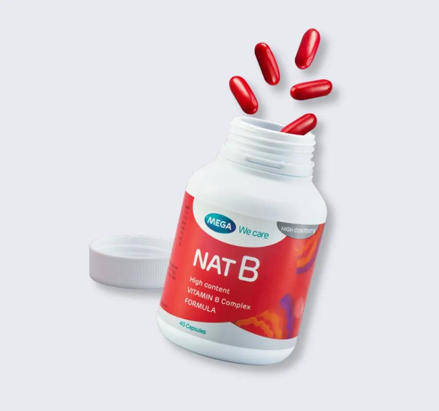 NAT B 4