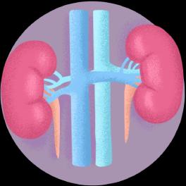 Nephrology