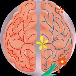 Blood Circulation & Memory