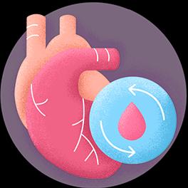 Cardio Vascular N