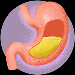 Gastrointestinal