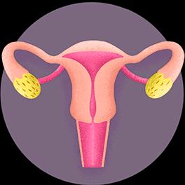 Gynaecology
