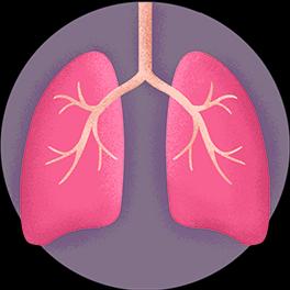 Respiratory