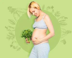 Iron During Pregnancy