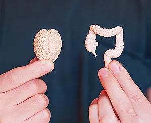 A Path To Wellness: Mindful Practices For Gut-Brain Connection