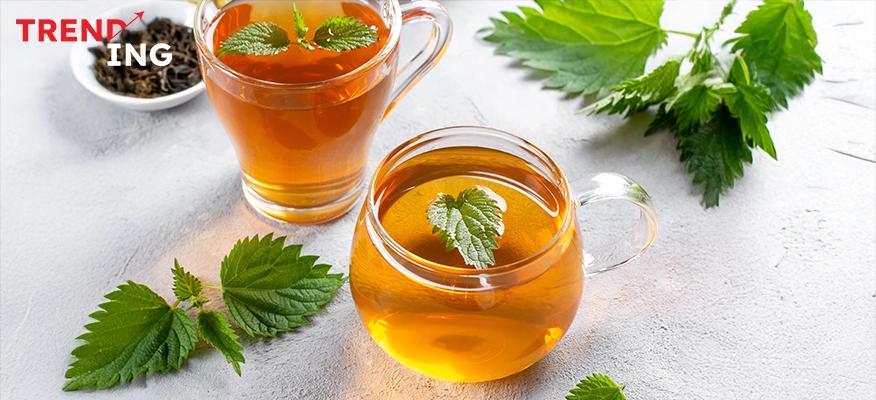 Glass cup of nettle tea with fresh stinging nettle leaves