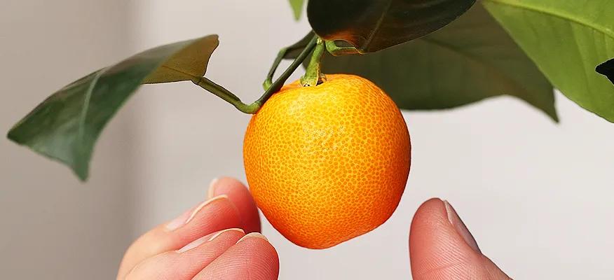 Top Benefits of Calamansi for Glowing and Clear Skin