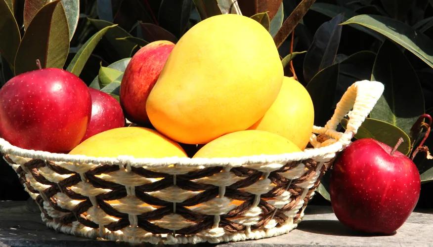 2nd Trimester: Fruits for Mid-Pregnancy Nourishment