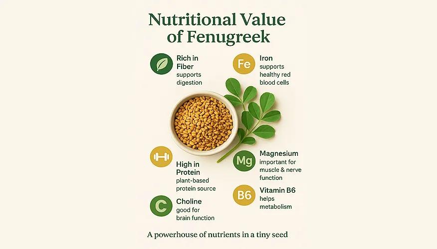 Nutritional value of Fenugreek