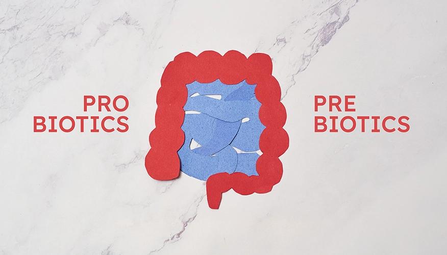 Exploring probiotic vs prebiotic: which is better for you?