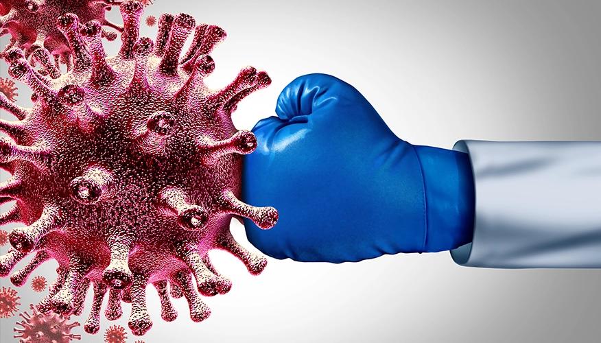 How your immune system fights viruses