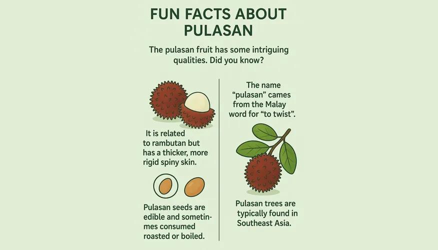 How does pulasan look and taste?