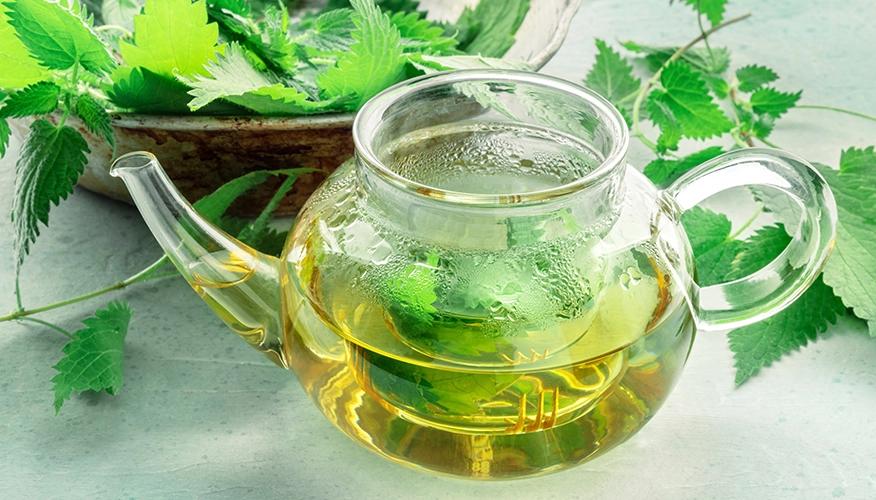 How to make nettle tea