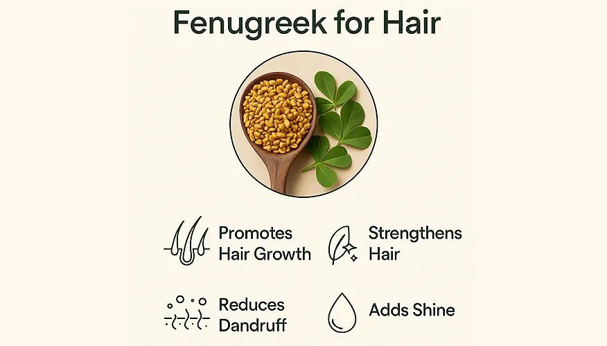 Benefits of Fenugreek for Hair