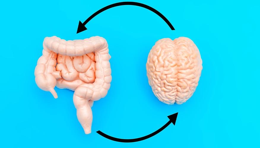 Role of the microbiome in brain function