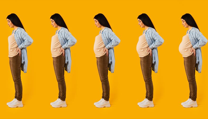 Stages of pregnancy