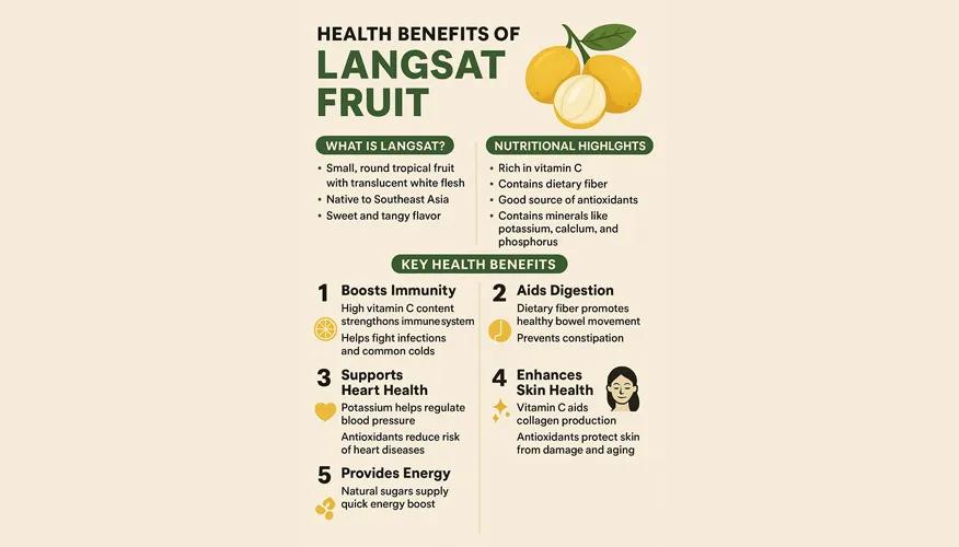 Top health benefits of langsat
