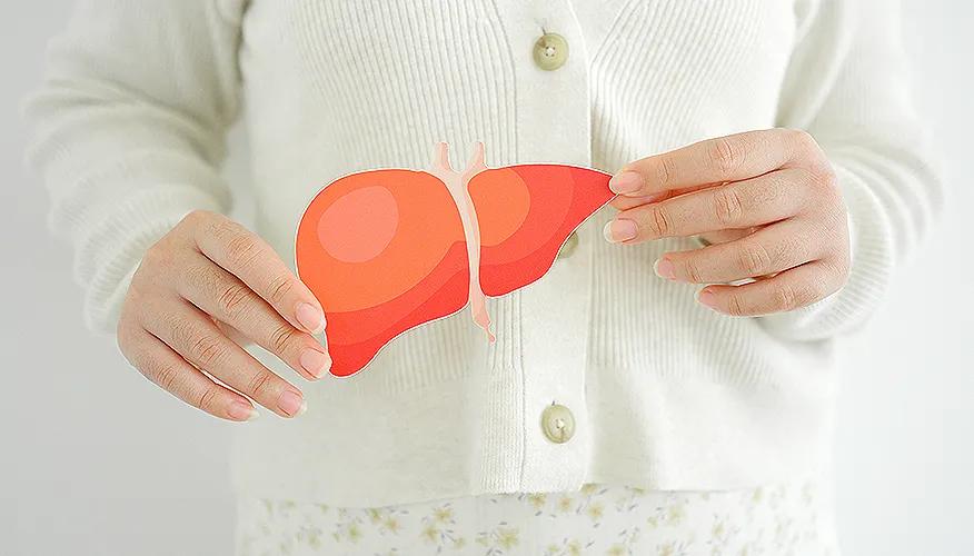 Understanding the liver