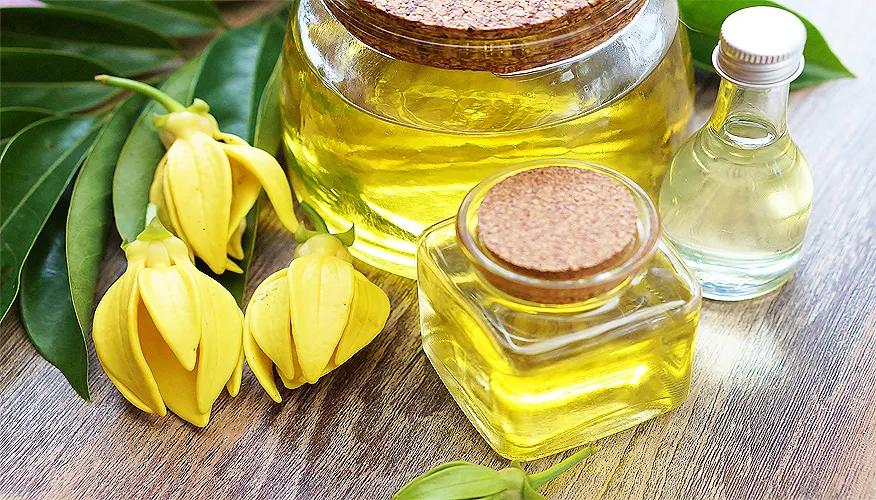 Ylang Ylang Essential Oil Benefits