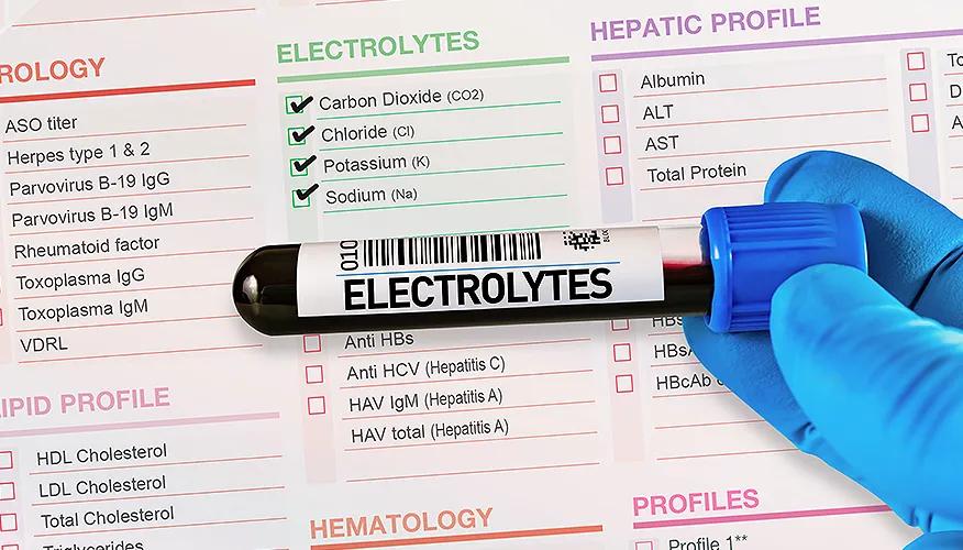 What are electrolytes?