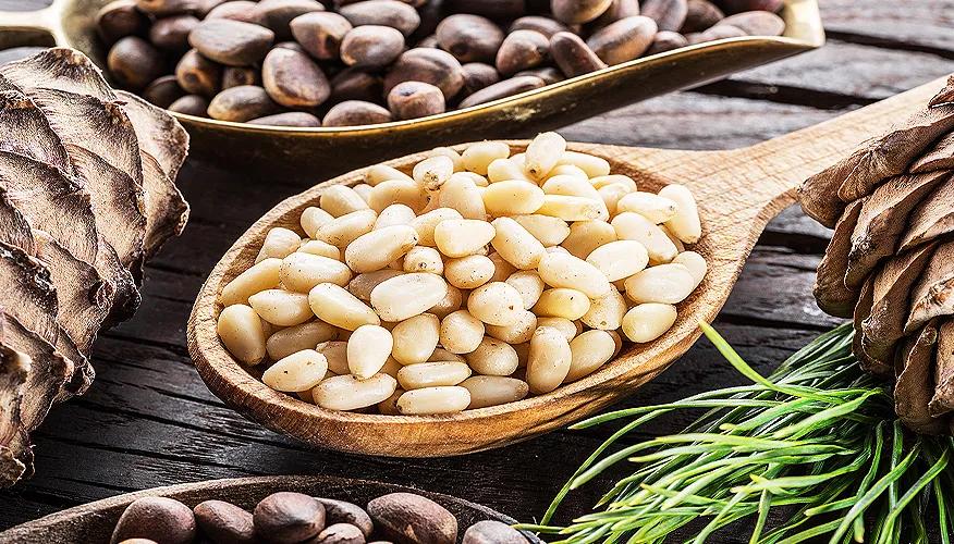 What are pine nuts?