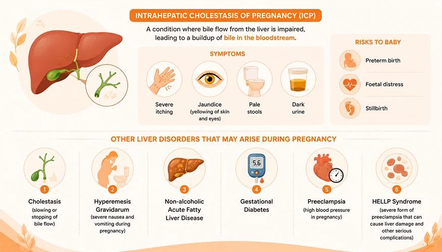 Intrahepatic cholestasis of pregnancy ICP symptoms risks to baby and other liver disorders during pregnancy infographic