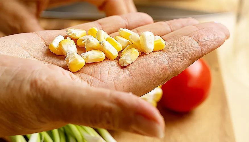 What is corn, and what nutrients does it contain?