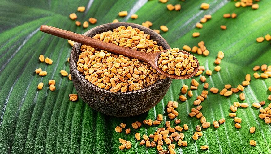 What is fenugreek?