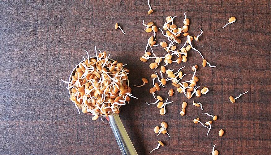 What is horse gram?